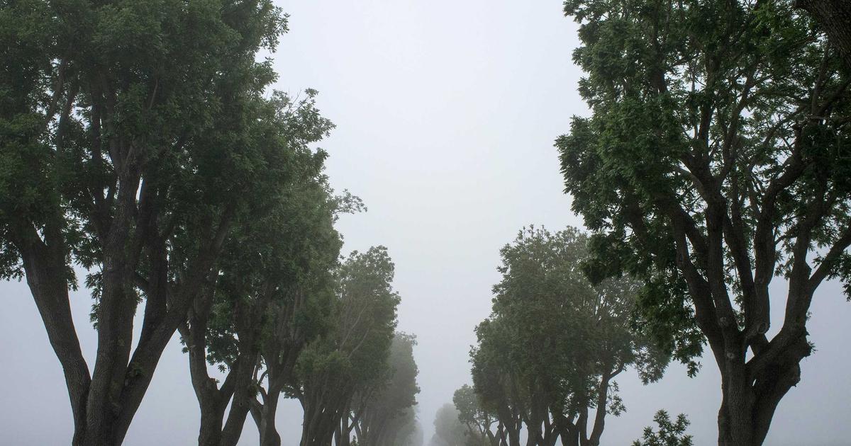 鍼灸と手技療法の違い